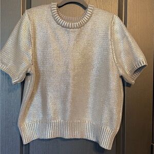 Elegant Silver Women's Crew Neck Sweater